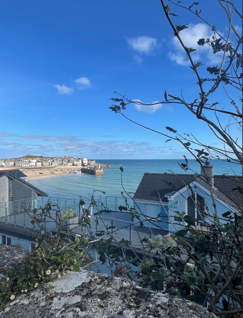 View of the sea on a sunny day taken between houses and trees